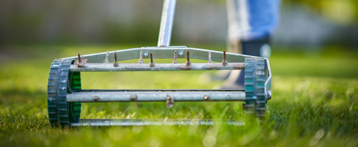 aeration and overseeding experts in michigan