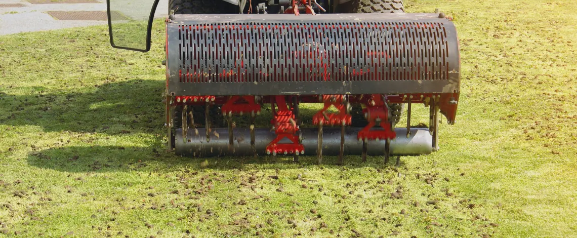 professional lawn aeration and overseeding michigan