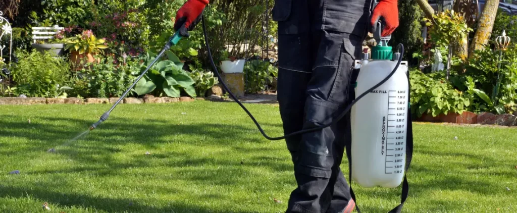 worst lawn weeds in southeast michigan